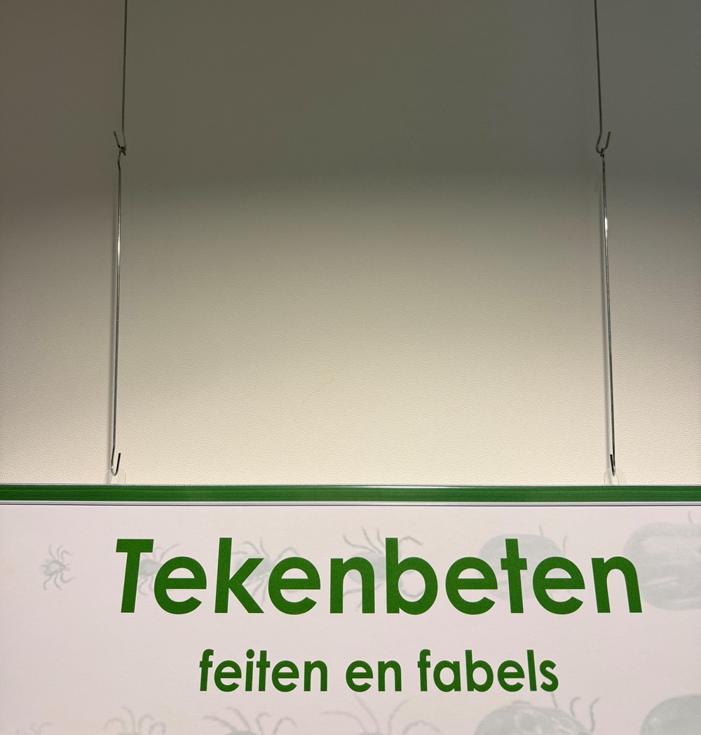 Wandplaat Hoofdletsel - oranje - Afbeelding 6